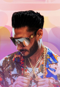 DJ Pauly D