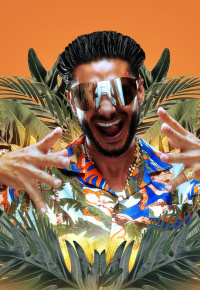 DJ Pauly D