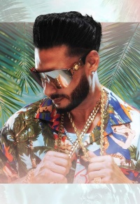 DJ Pauly D