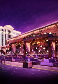 OMNIA Thursday