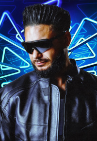 DJ Pauly D